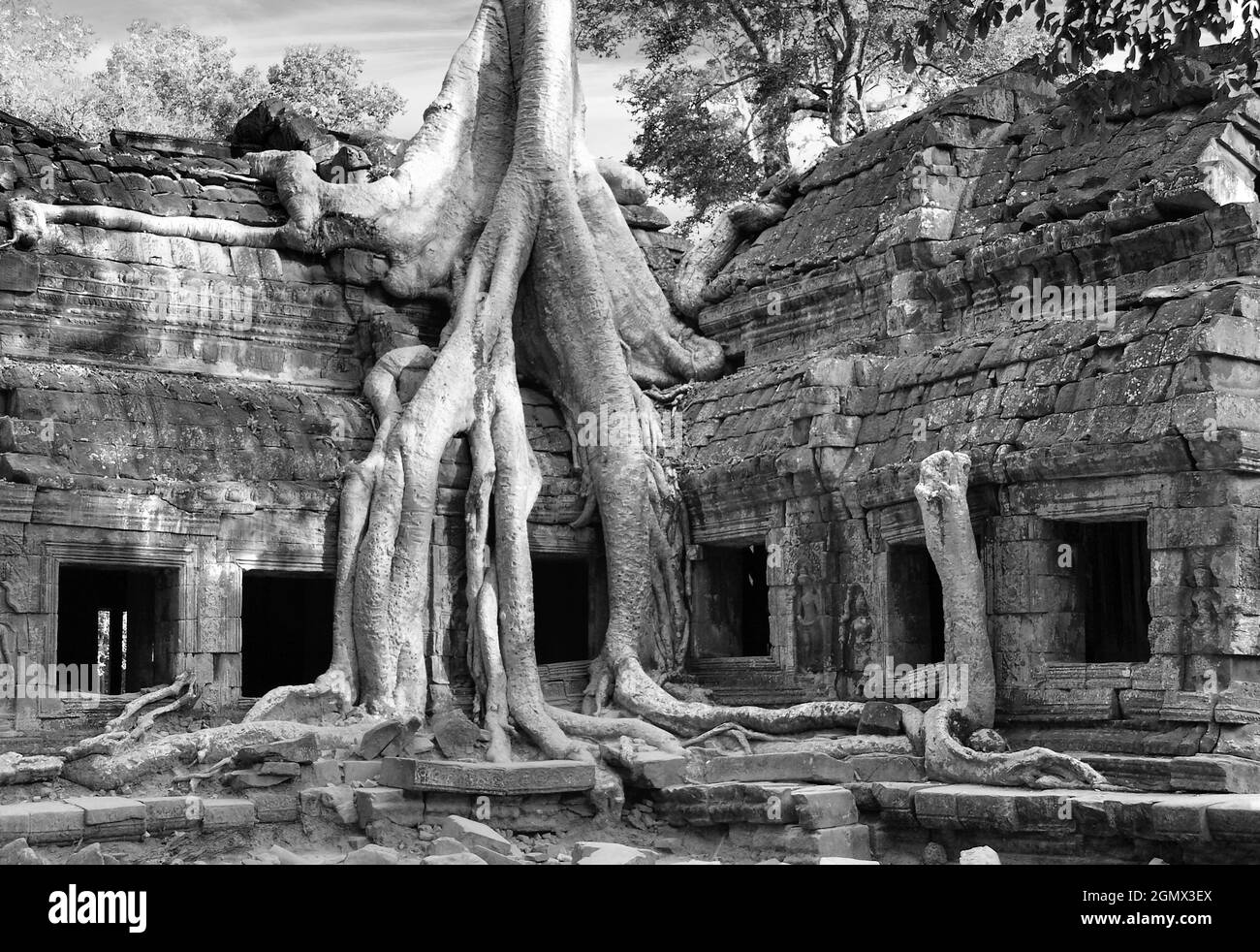Ta Phrom, Cambodge - 19 janvier 2005; Ta Prohm est un temple bien connu à Angkor, province de Siem Reap, Cambodge. Il a été construit dans le style Bayon, largel Banque D'Images
