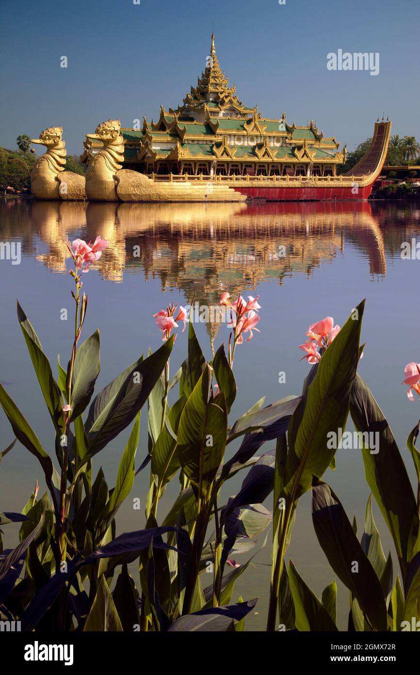 Yangon, Mandalay - 23 janvier 2013; le lac de Kandawgi, près du centre de Yangon, est artificiel - il a été construit par les Britanniques comme un réservoir, mais est maintenant p Banque D'Images