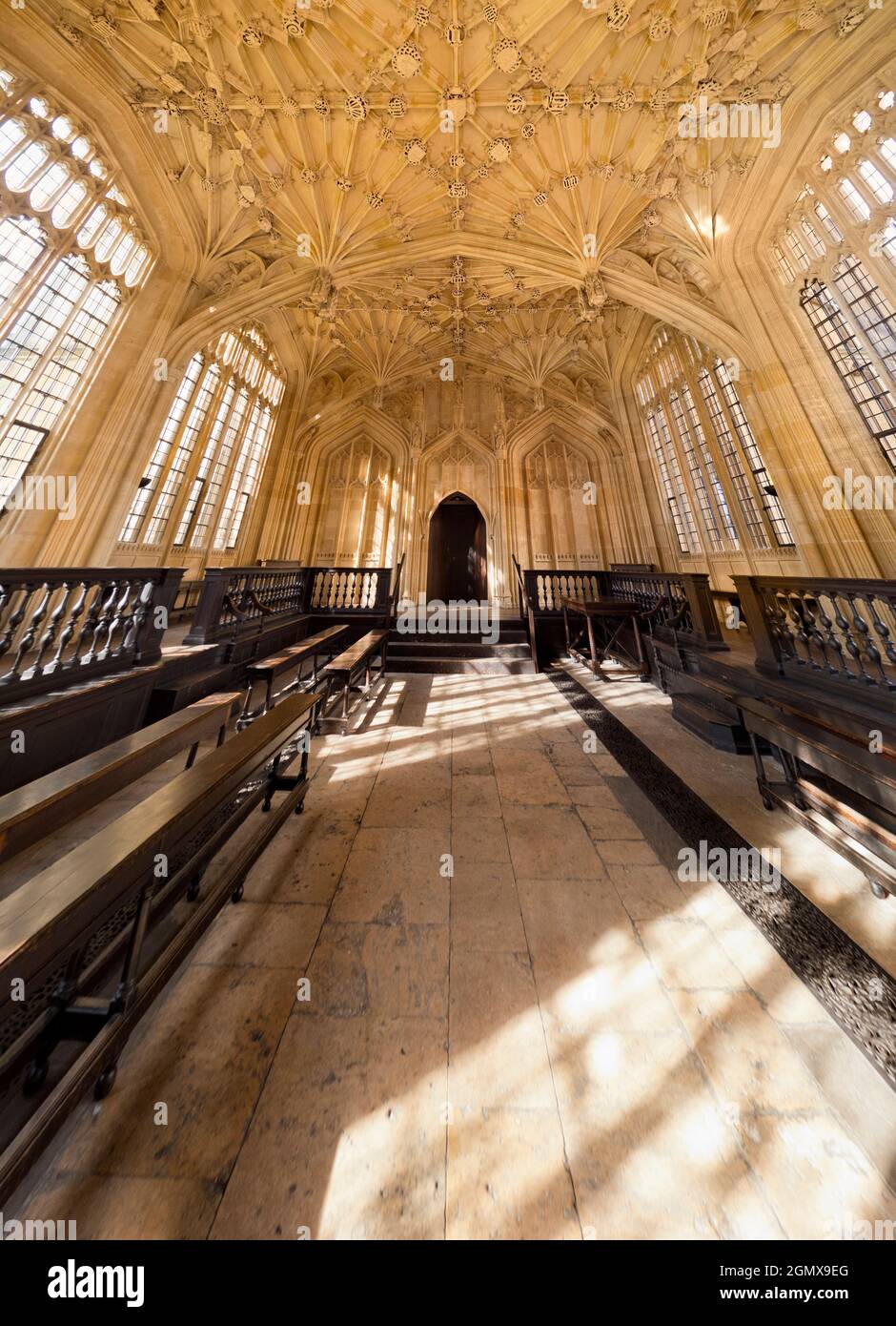 À l'intérieur de l'école de Divinity de la bibliothèque Bodleian de l'Université d'Oxford, en Angleterre. Cette célèbre chambre médiévale est ornée d'un plafond sculpté élaboré Banque D'Images