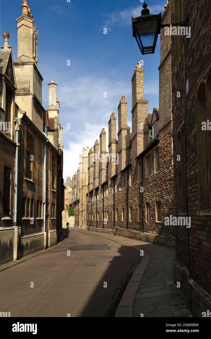 Cambridge, Cambridgeshire - 22 juillet 2009; un homme en vue, cyclisme. Trinity Lane est situé au cœur de la ville historique de Cambridge, en Angleterre. Le conducteur de voie Banque D'Images