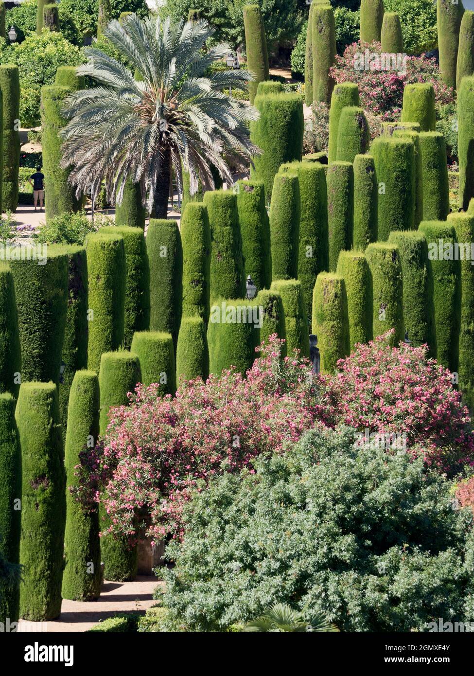 Cordoba, Espagne - 16 juin 2015; pas de personne en vue. L'Alcazar de los Reyes Cristianos (Alcazar des Rois chrétiens), également connu sous le nom d'Alcazar de C Banque D'Images