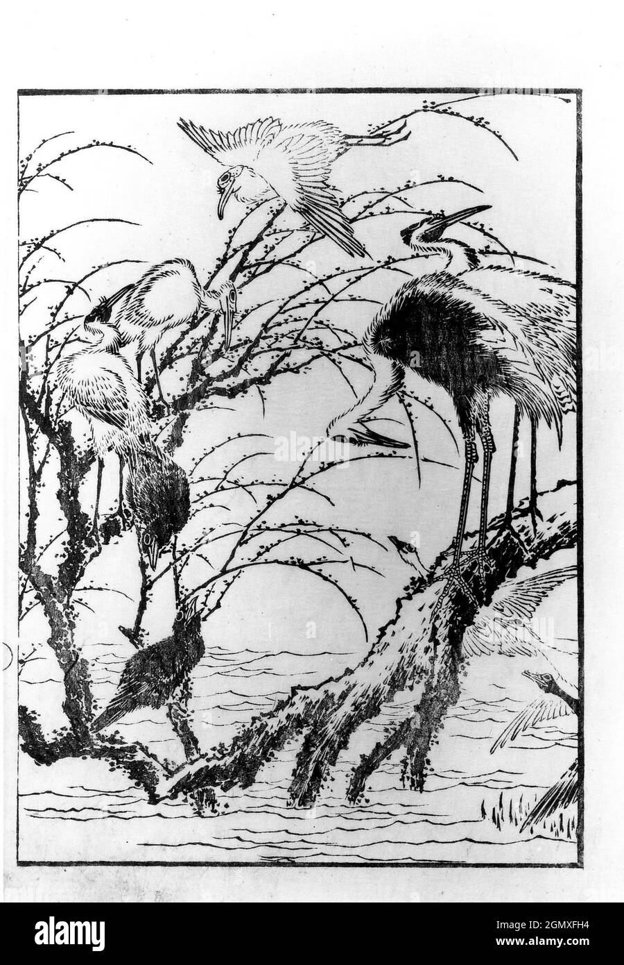 dessin-japonais-noir-et-blanc-banque-d-images-noir-et-blanc-alamy
