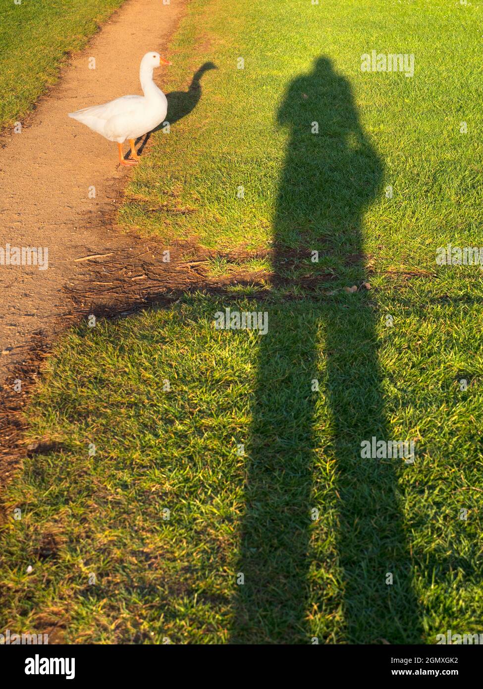 Abingdon, Angleterre - 21 avril 2020; pas de personnes en vue. Il y a une belle vue de cette partie de la rive de la Tamise à Abingdon; si vous regardez, vous pouvez Banque D'Images