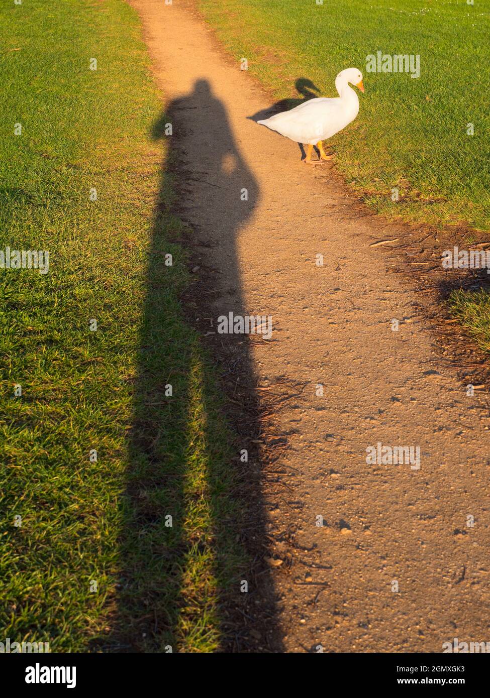 Abingdon, Angleterre - 21 avril 2020; pas de personnes en vue. Il y a une belle vue de cette partie de la rive de la Tamise à Abingdon; si vous regardez, vous pouvez Banque D'Images
