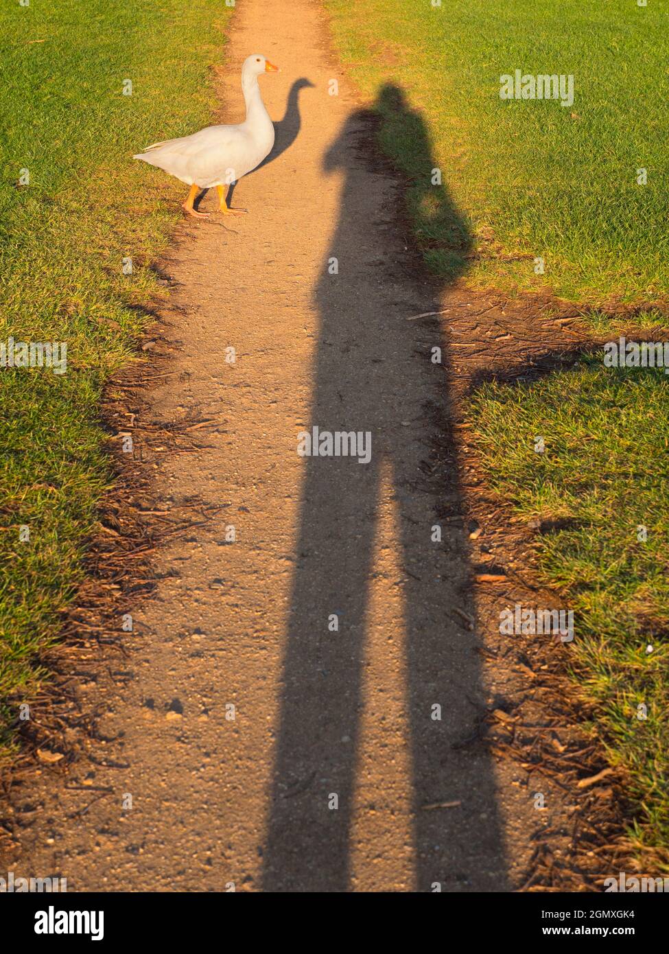 Abingdon, Angleterre - 21 avril 2020; pas de personnes en vue. Il y a une belle vue de cette partie de la rive de la Tamise à Abingdon; si vous regardez, vous pouvez Banque D'Images