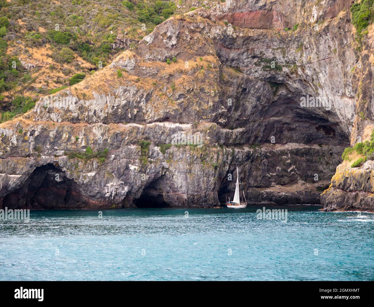 Akaroa, Nouvelle-Zélande South Island - 27 février 2019 Akaroa est une petite mais parfaite ville idyllique sur la péninsule de Banks, dans la région de Canterbury de New Ze Banque D'Images