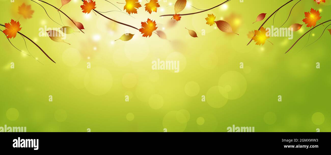 bannière automnale lumineuse avec des feuilles jaunes. fond chaud ensoleillé de design Banque D'Images