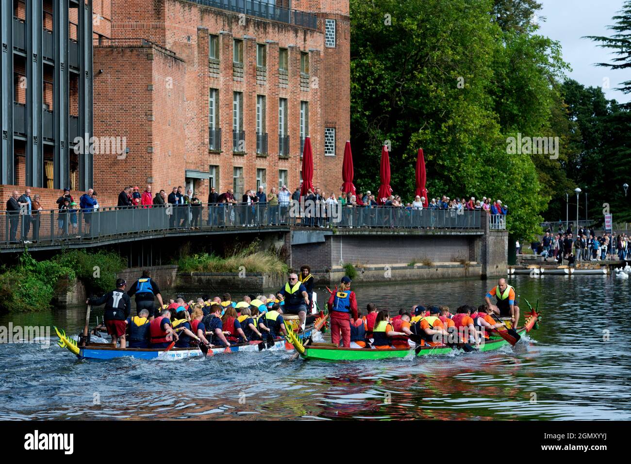 Course de bateaux-dragons sur la rivière Avon, Stratford-upon-Avon, Warwickshire, Angleterre, Royaume-Uni Banque D'Images