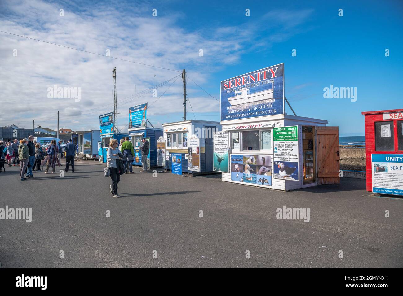 Les petites entreprises font de la publicité et vendent des excursions en bateau aussi aux îles Farne aux touristes dans les Seahouses, Northumberland. Banque D'Images