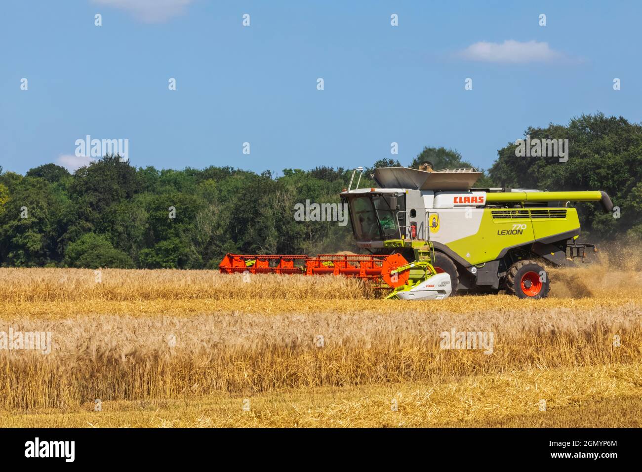 Angleterre, Hampshire, moissonneuse-batteuse récolte du blé dans les champs près de Winchester Banque D'Images
