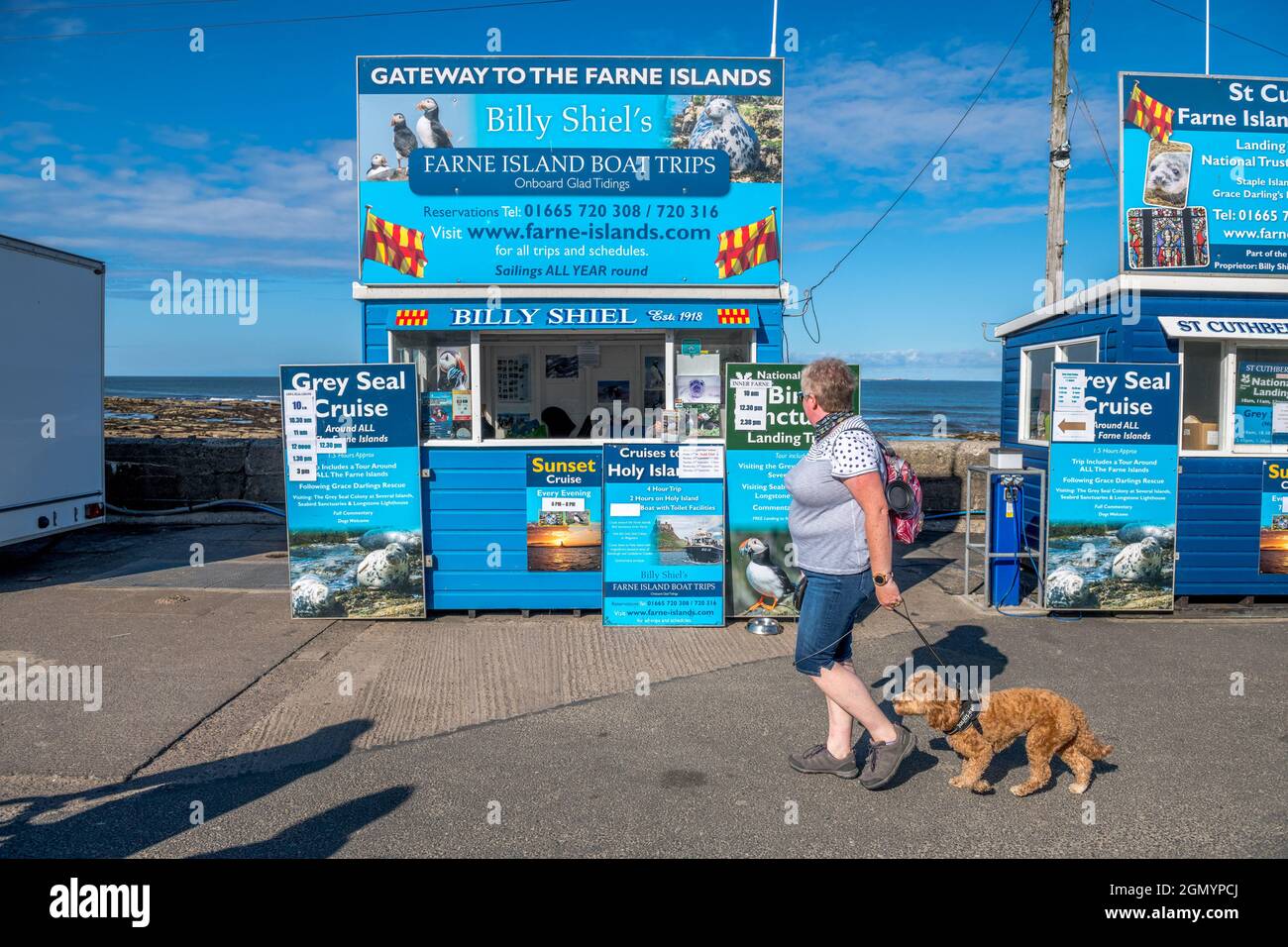 Les petites entreprises font de la publicité et vendent des excursions en bateau aussi aux îles Farne aux touristes dans les Seahouses, Northumberland. Banque D'Images