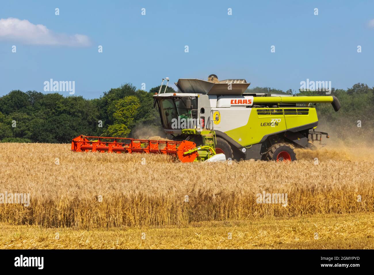 Angleterre, Hampshire, moissonneuse-batteuse récolte du blé dans les champs près de Winchester Banque D'Images