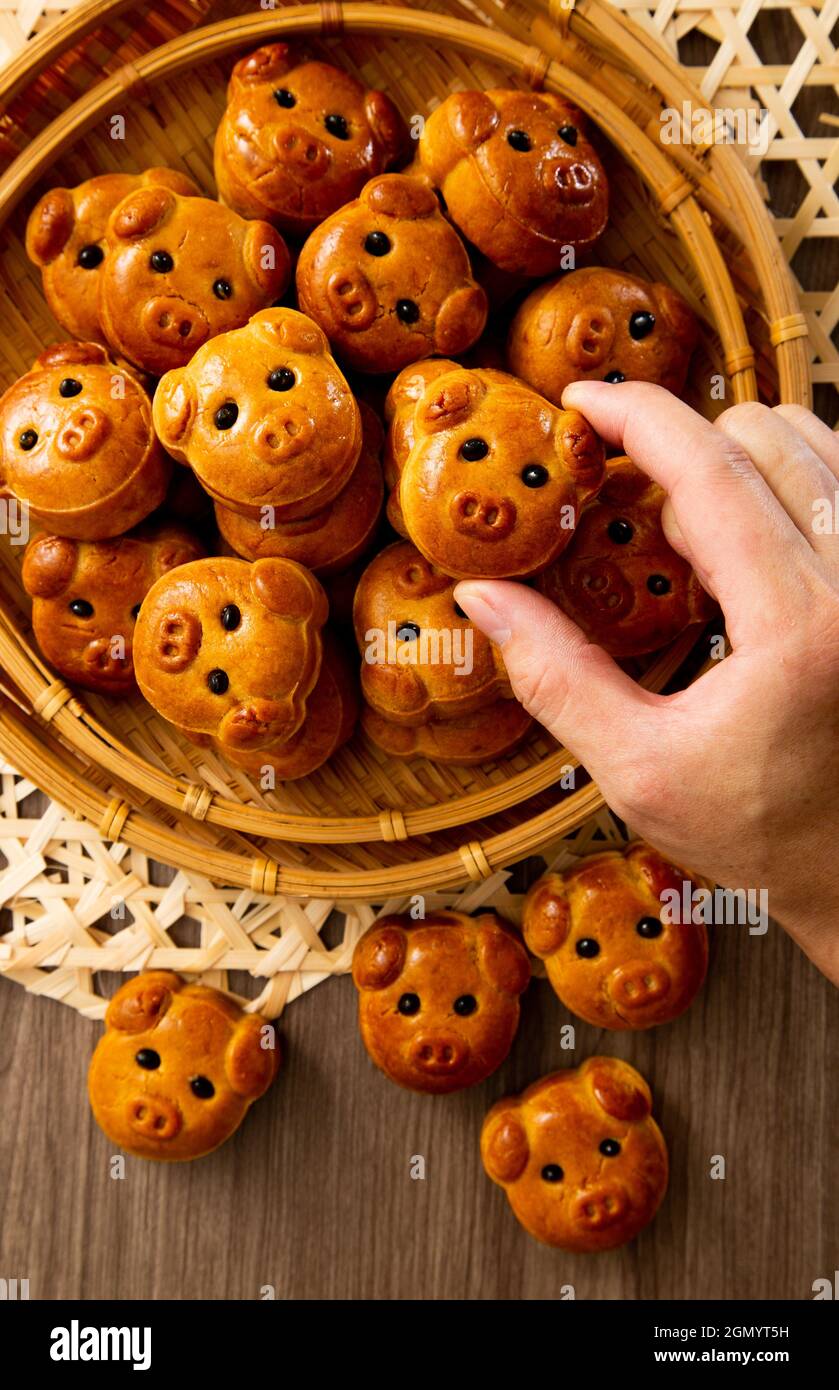 biscuit chinois au mooncake avec visage de porc. Festival de mi-automne Banque D'Images