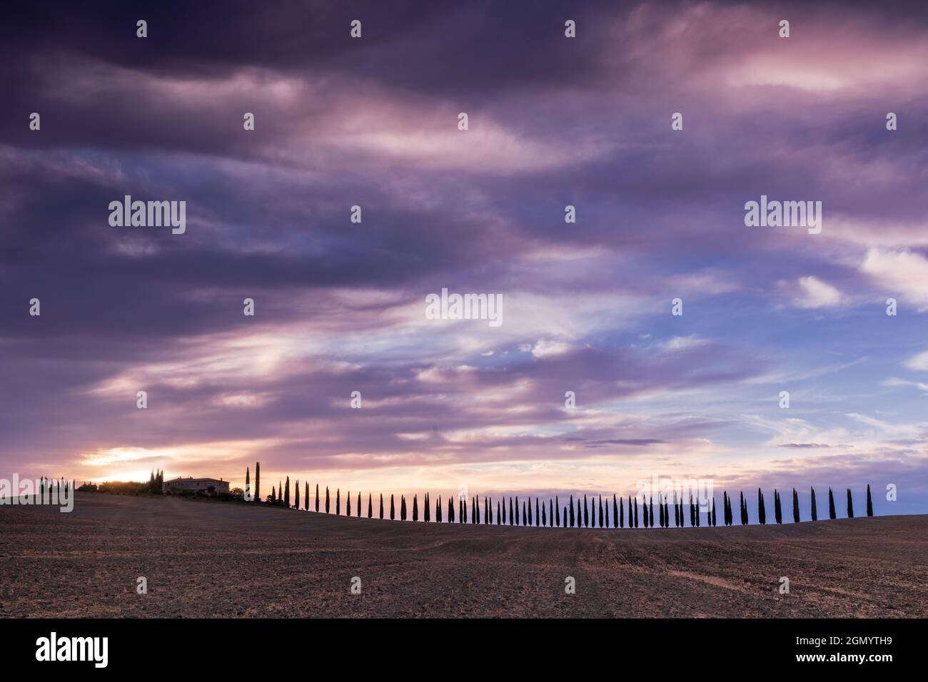 Paysage toscan avec des cyprès et ferme au lever du soleil, San Quirico d'Orcia, Val d'Orcia, Toscane, Italie Banque D'Images