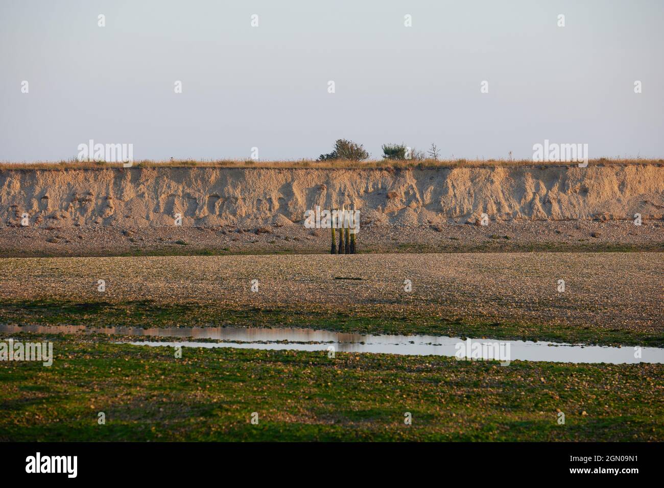 Petit ruisseau d'eau vu à marée basse à Pagham, Royaume-Uni. Banque D'Images