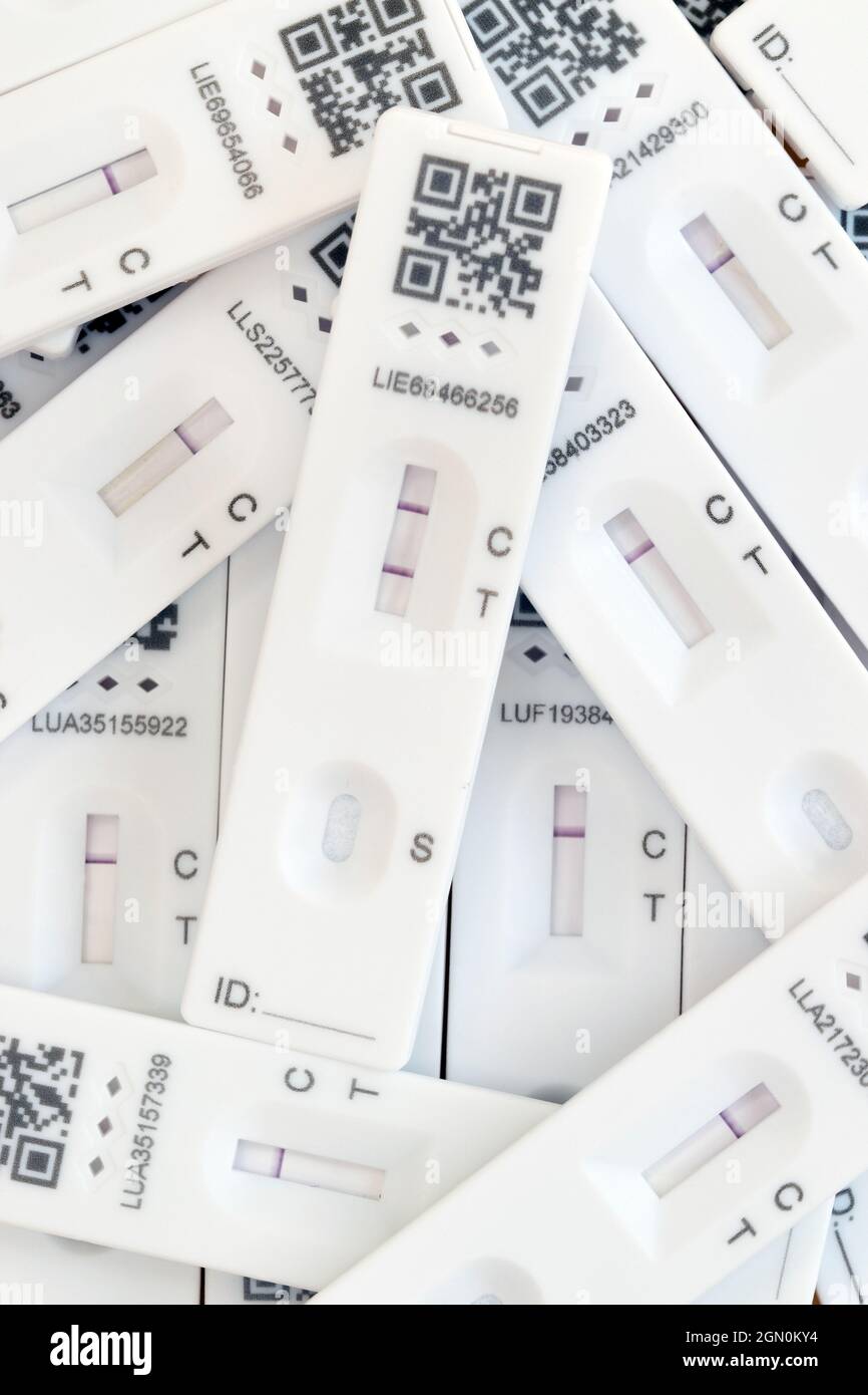 Bandelette de test de débit latéral montrant des résultats de test Covid 19 négatifs et un seul résultat positif simulé. Banque D'Images