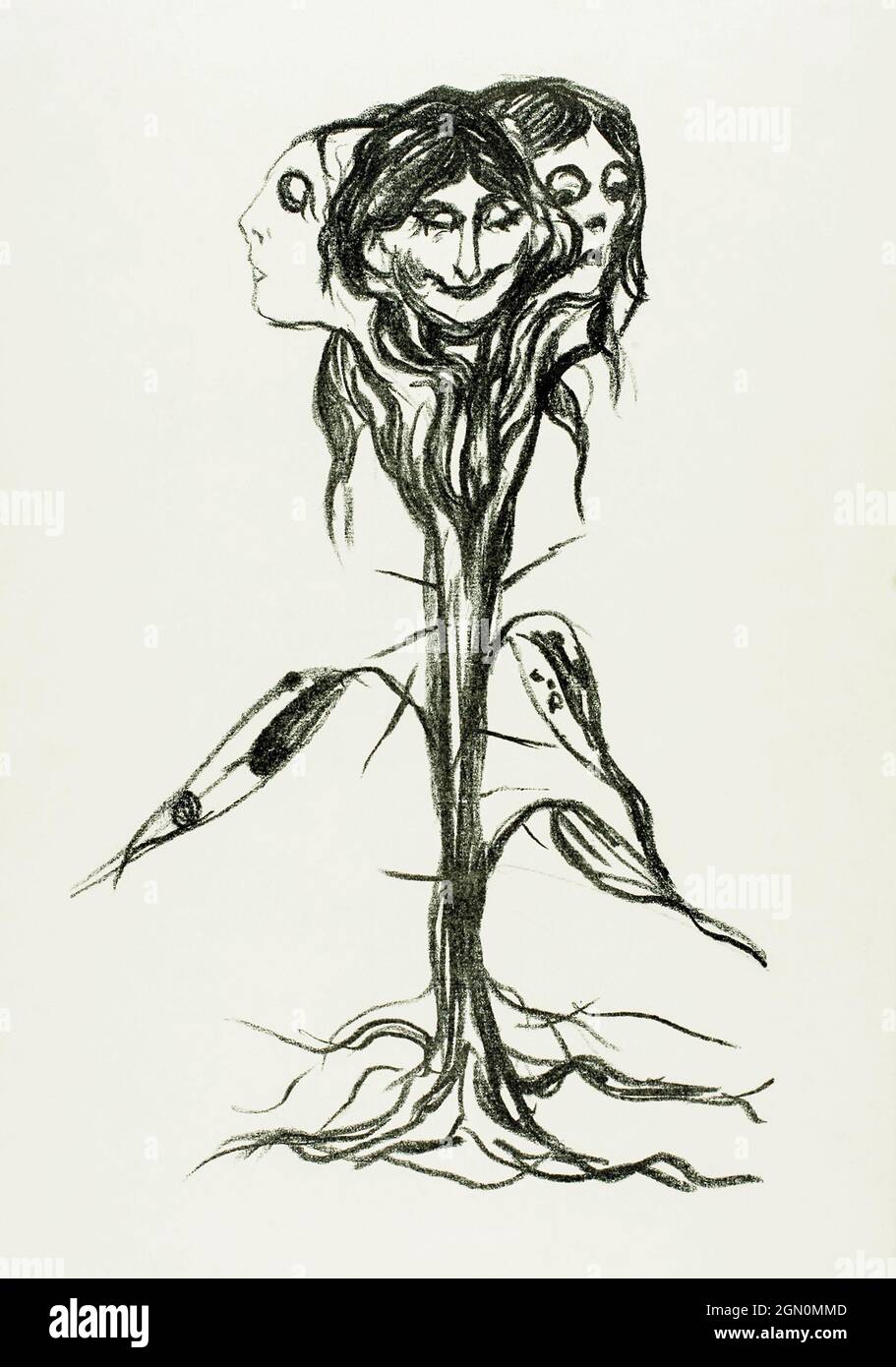 Vignette: Amaryllis (env. 1908-1909) par Edvard Munch. Banque D'Images