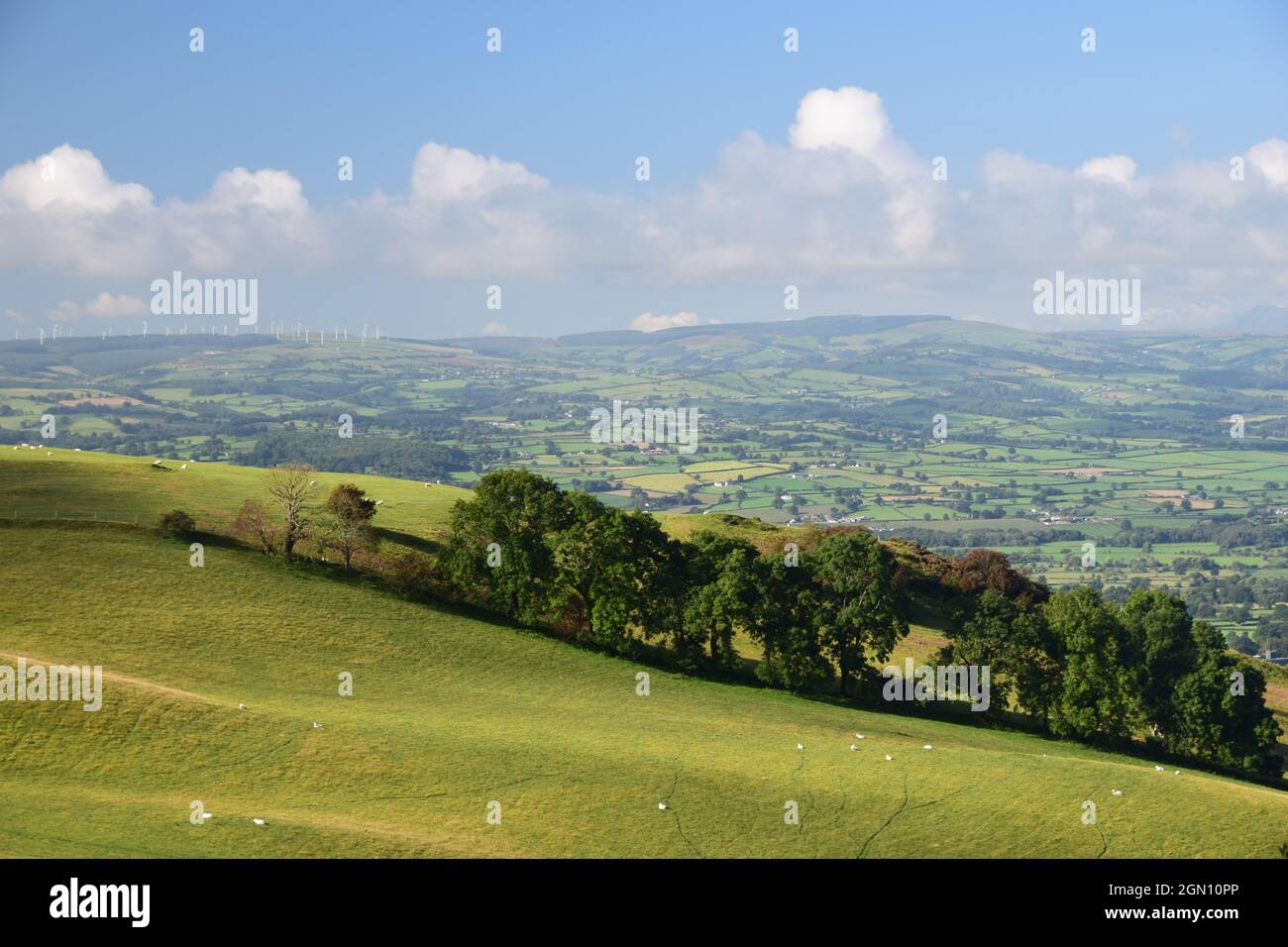 Collines vallonnées et vallée de Clwyd vues depuis le sentier de digue d'Offa dans la gamme de collines de Clwydian. Banque D'Images