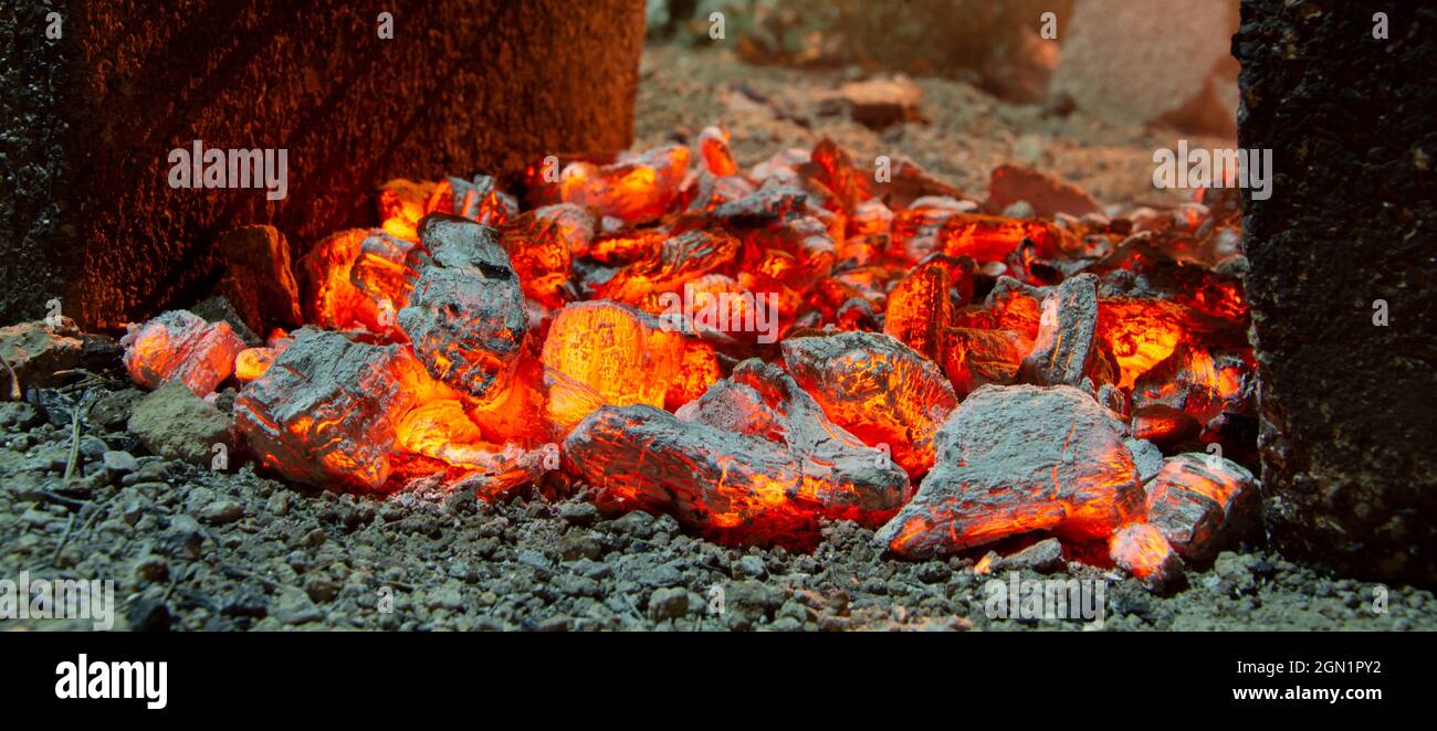 Détails de charbon de bois pour barbecue au pique-nique, émonteurs de feu Banque D'Images