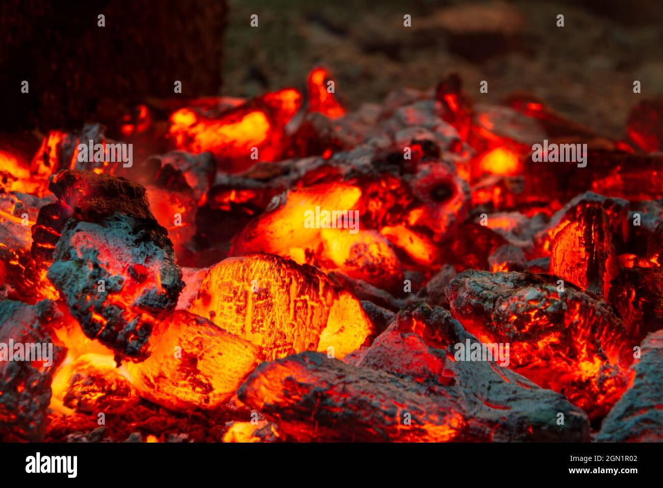 Détails de charbon de bois pour barbecue au pique-nique, émonteurs de feu Banque D'Images
