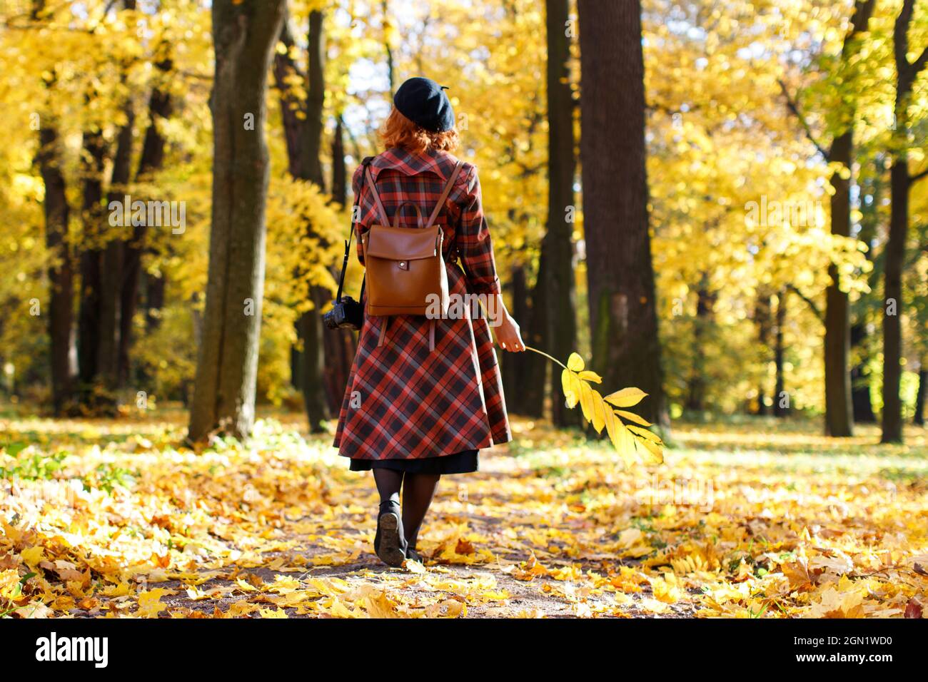 Elegante femme a tete rouge en manteau ecossais beret noir et sac a dos marche a travers le parc tenant sec jaune feuille tombee a la journee ensoleillee vue arriere Photo Stock