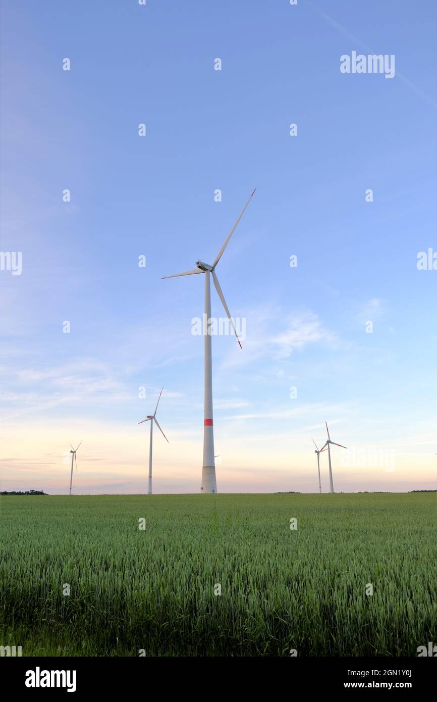 Éoliennes sur le terrain. Énergie naturelle.énergie naturelle écologique . Énergie éolienne jour de vacances. Banque D'Images