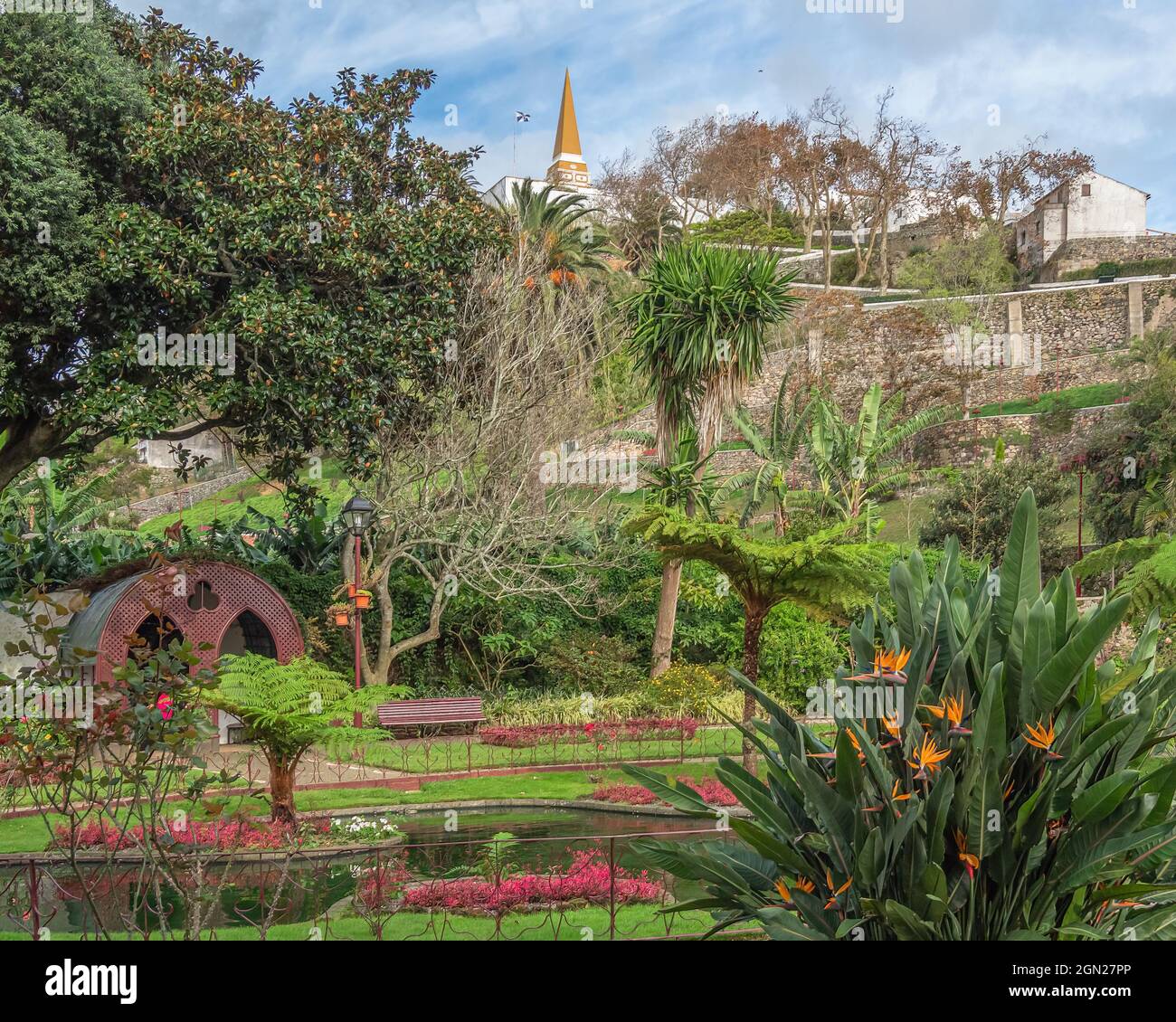 Plantations colorées dans le jardin du Duc de Terceira (Jardim Duque da Terceira) à Angra do Heroismo sur l'île de Terceira dans les Açores. Banque D'Images