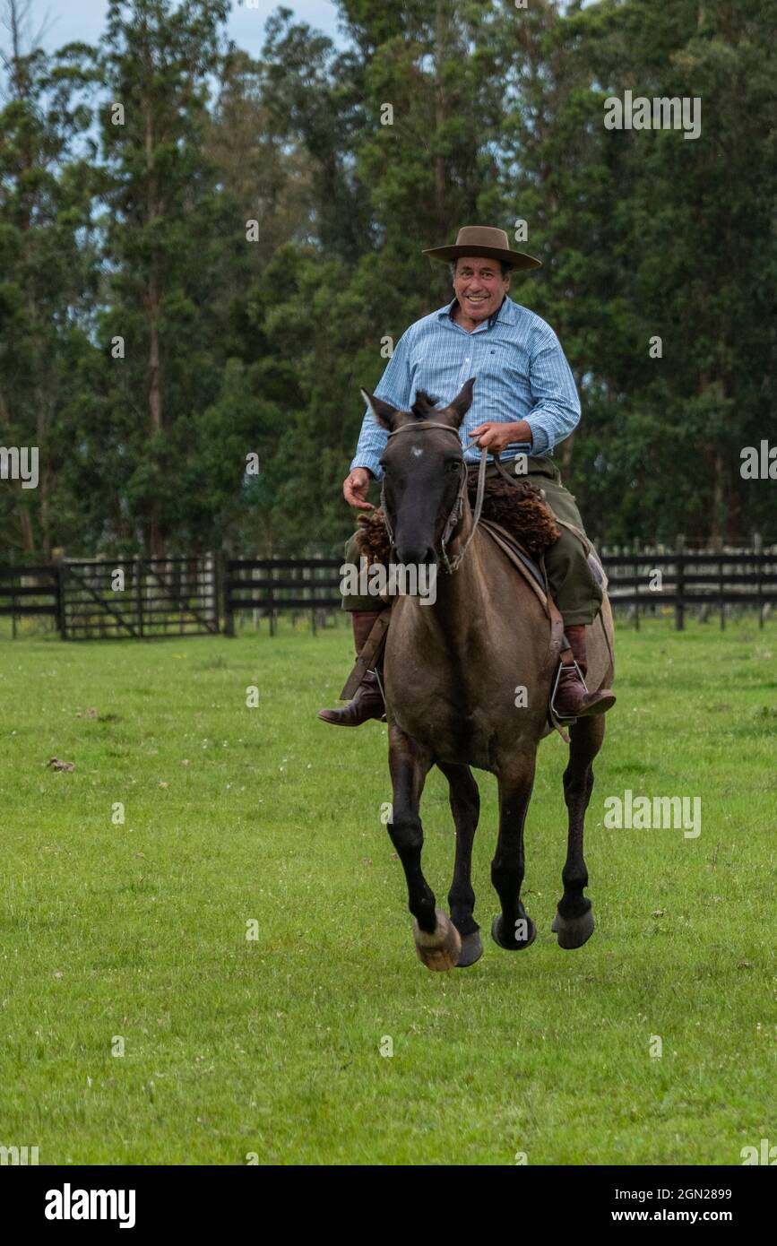 Gaucho fait du cheval à Finca Piedra, San José de Mayo, département de Colonia, Uruguay, Amérique du Sud Banque D'Images