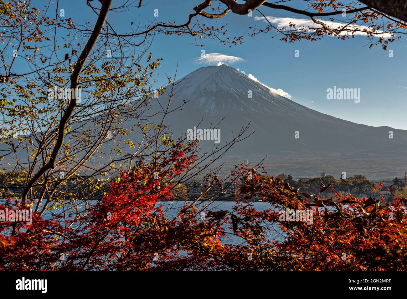 Mont Fuji à partir du lac Kawaguchiko, Minatsimuru, Yamanashi, Japon. Banque D'Images