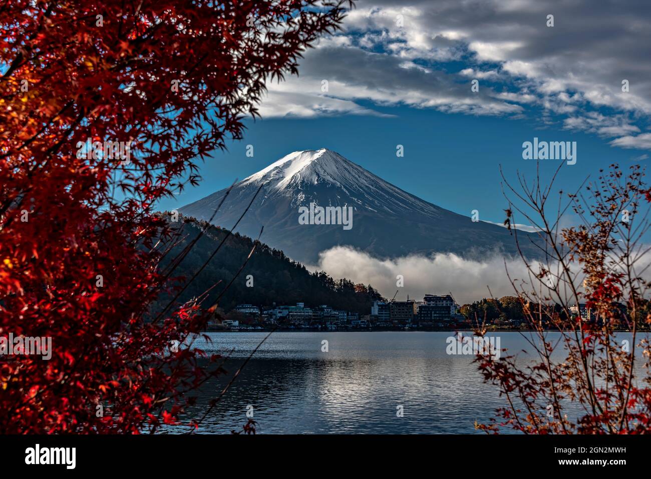 Mont Fuji à partir du lac Kawaguchiko, Minatsimuru, Yamanashi, Japon. Banque D'Images