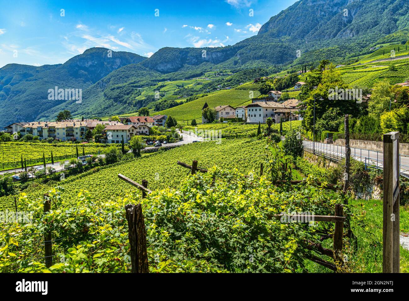 Vallées et pentes plantées de vignes Traminer, Gewürztraminer, le long de la route des vins du Tyrol du Sud. Province autonome de Bolzano. Banque D'Images