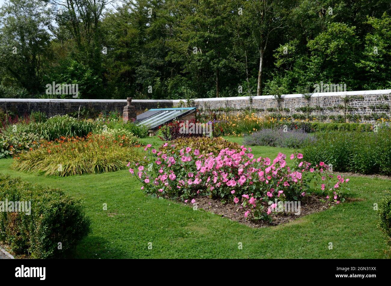 Jardin clos au manoir Scolton Haverfordwest Pembrokeshire Wales UK Banque D'Images