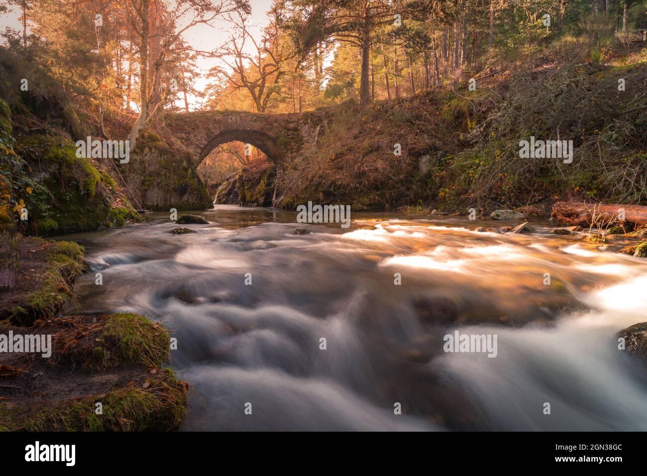 Paysage pittoresque pont en pierre au-dessus de la rivière dans le parc d'automne de la Sierra de Guadarrama en Espagne en journée Banque D'Images