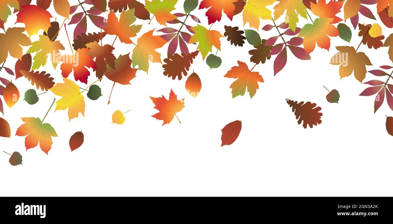 fichier vectoriel eps avec feuilles de couleur de fin d'été ou d'automne sur la partie supérieure, fond panoramique sans couture Illustration de Vecteur