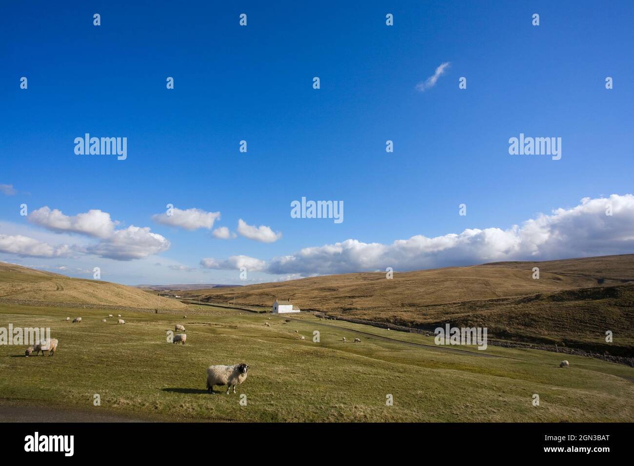 Herdship Farm, Harwood, Upper Teesdale, comté de Durham, Royaume-Uni Banque D'Images