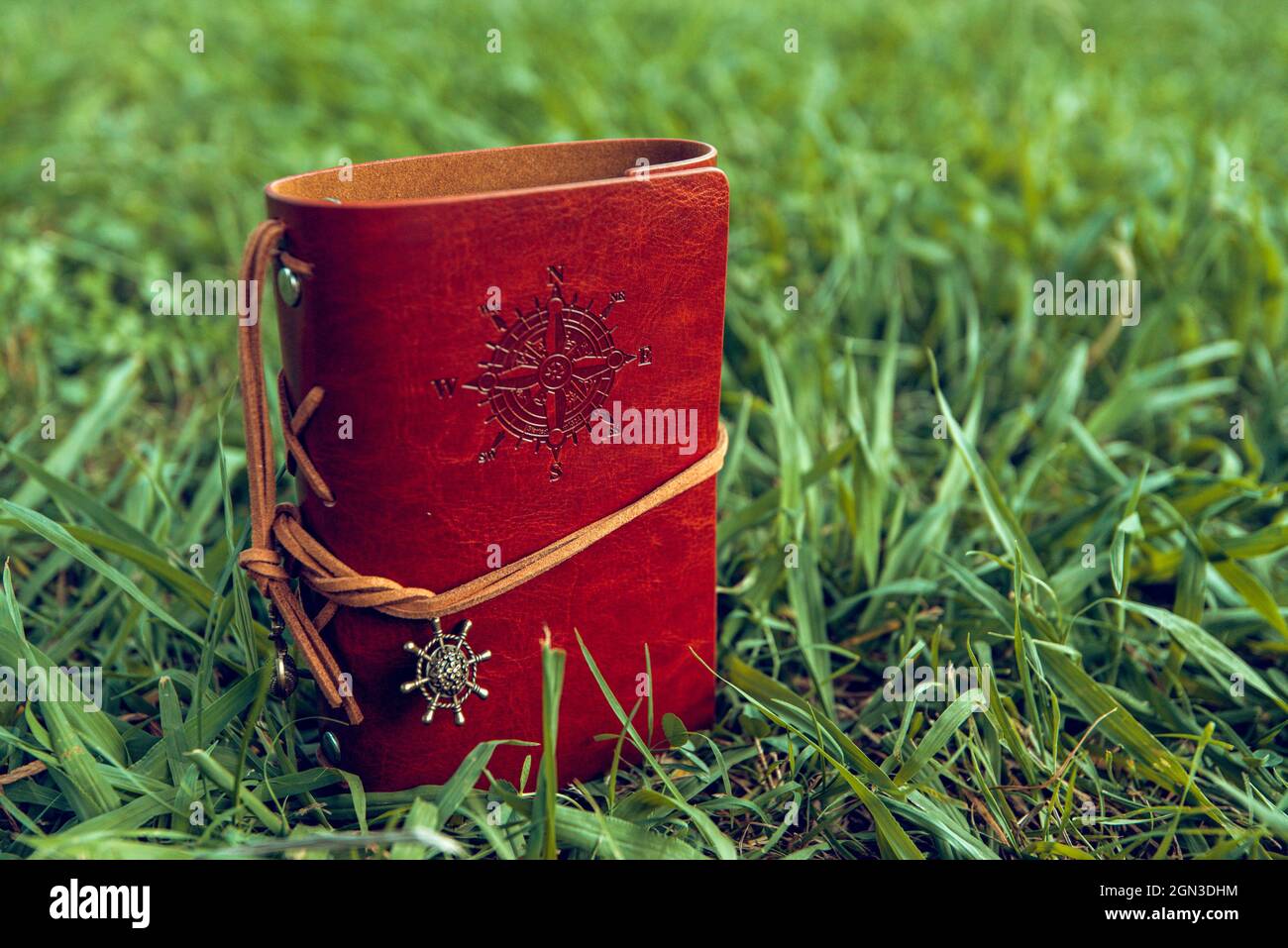 carnet en cuir marron sur fond d'herbe verte Banque D'Images