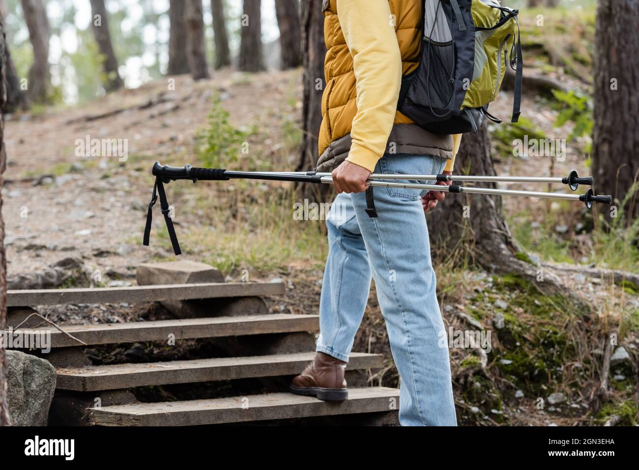 vue partielle du touriste avec sac à dos portant des bâtons de randonnée tout en marchant sur des escaliers en bois dans la forêt Banque D'Images