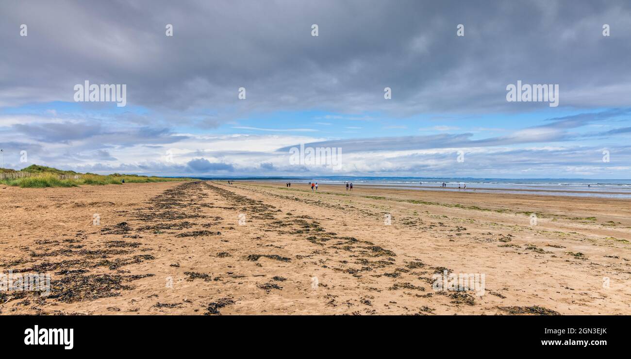 La longue plage de West Sands à St Andrews, Fife, est soutenue par des dunes basses. Banque D'Images