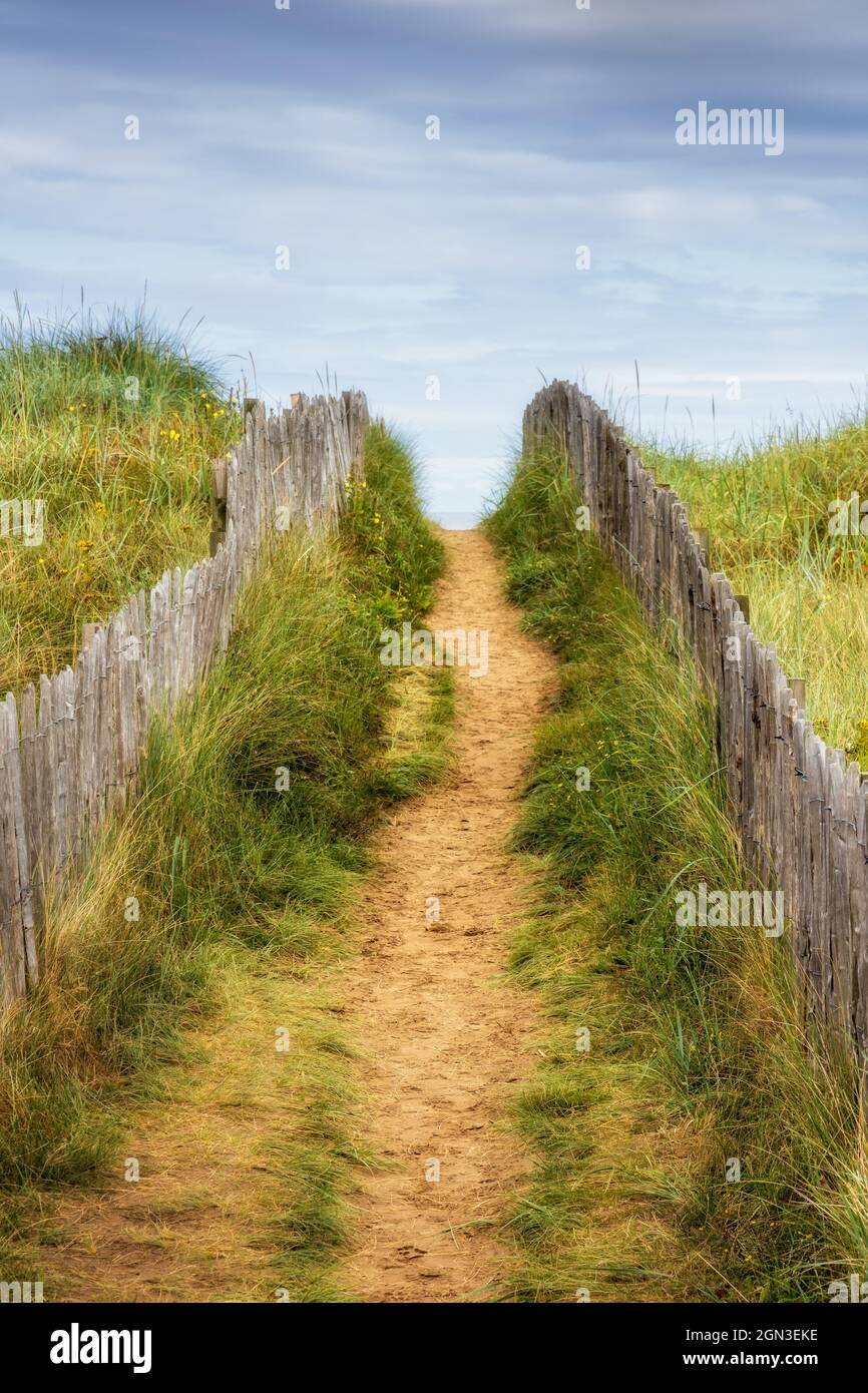 Chemin vers West Sands Beach.La longue plage de West Sands à St Andrews, Fife, est soutenue par des dunes basses. Banque D'Images