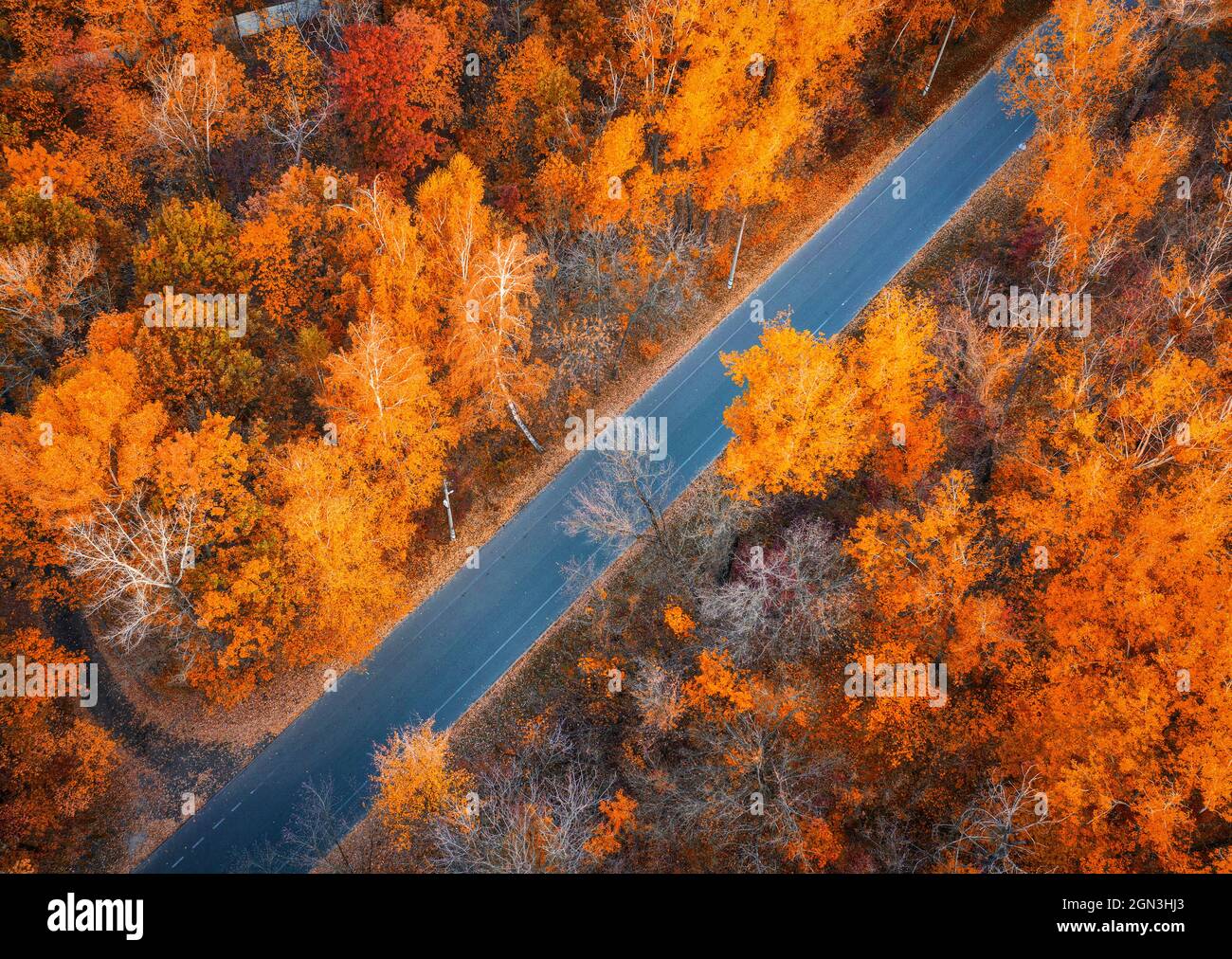 Vue aérienne de la route dans la belle forêt au coucher du soleil automne Banque D'Images