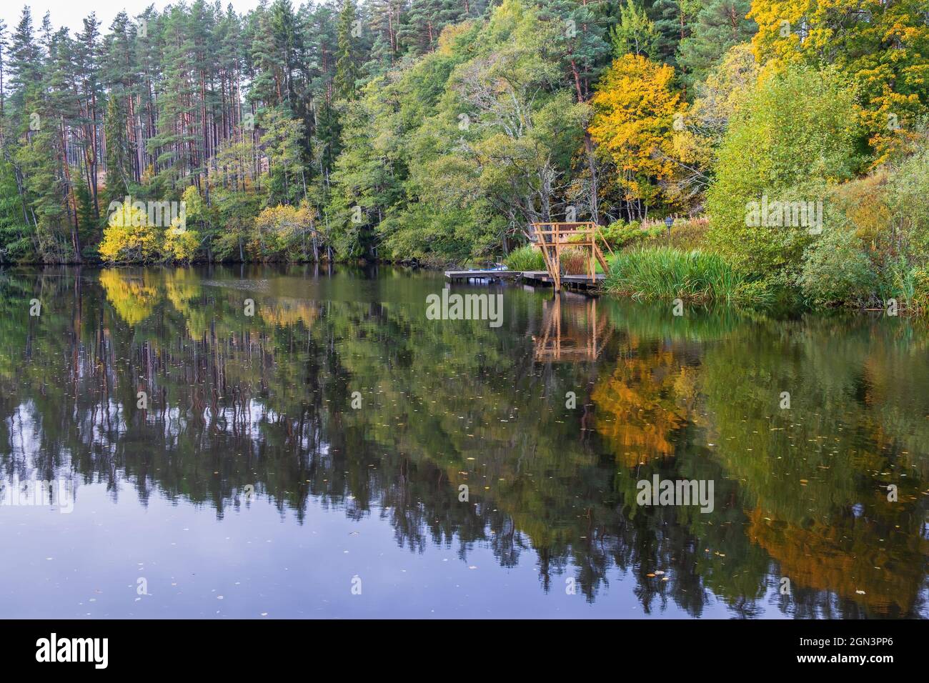 Tour de plongée à un endroit de baignade près d'un lac Banque D'Images