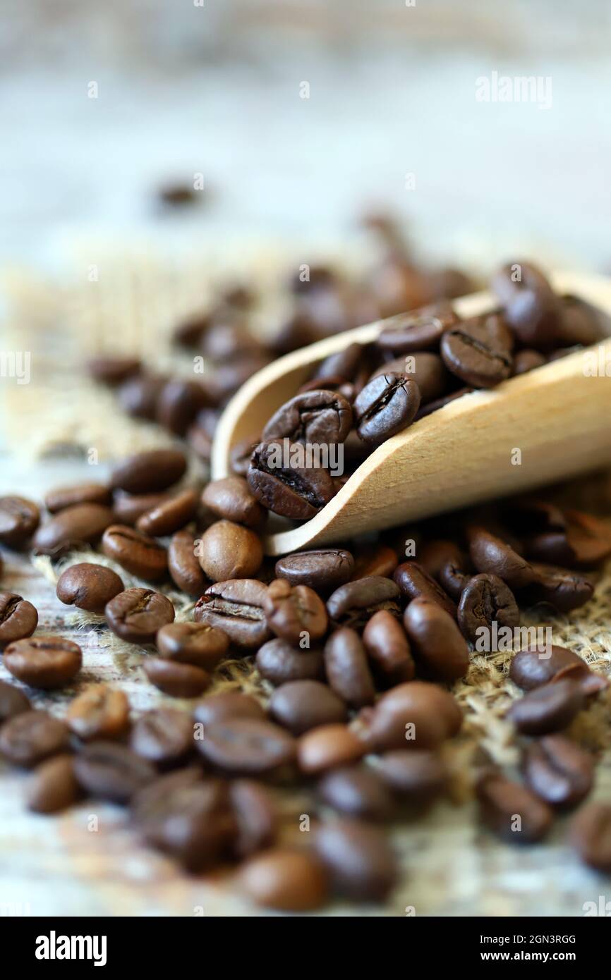 Grains de café dans une spatule en bois.Grains de café torréfiés. Banque D'Images