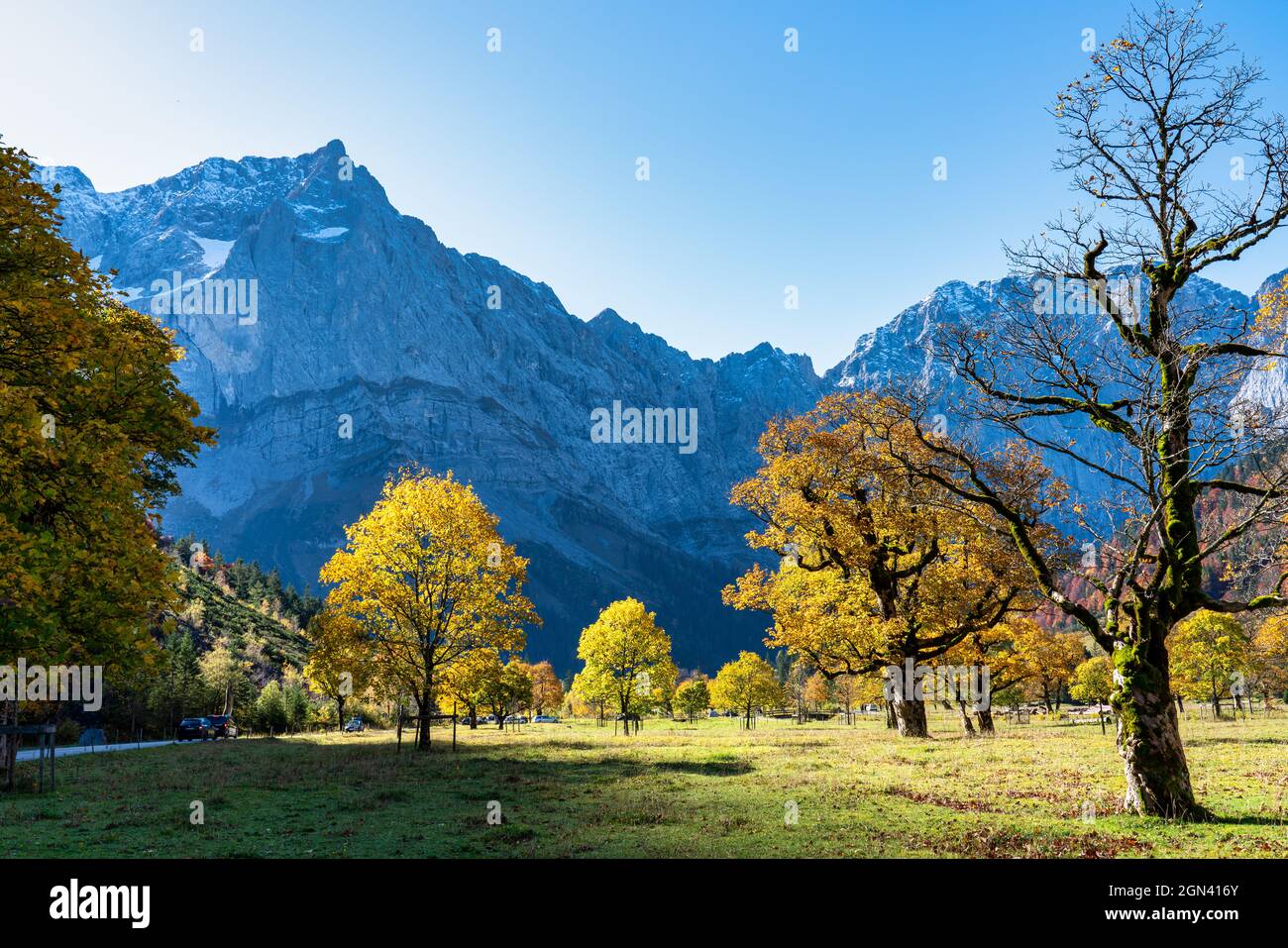 Vue d'automne des érables à Ahornboden, Karwendel, Tyrol, Autriche Banque D'Images
