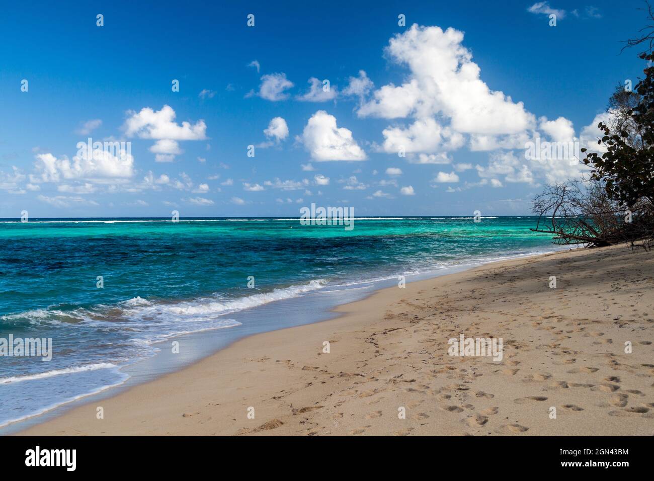 Plage Playa Maguana près de Baracoa, Cuba Photo Stock - Alamy