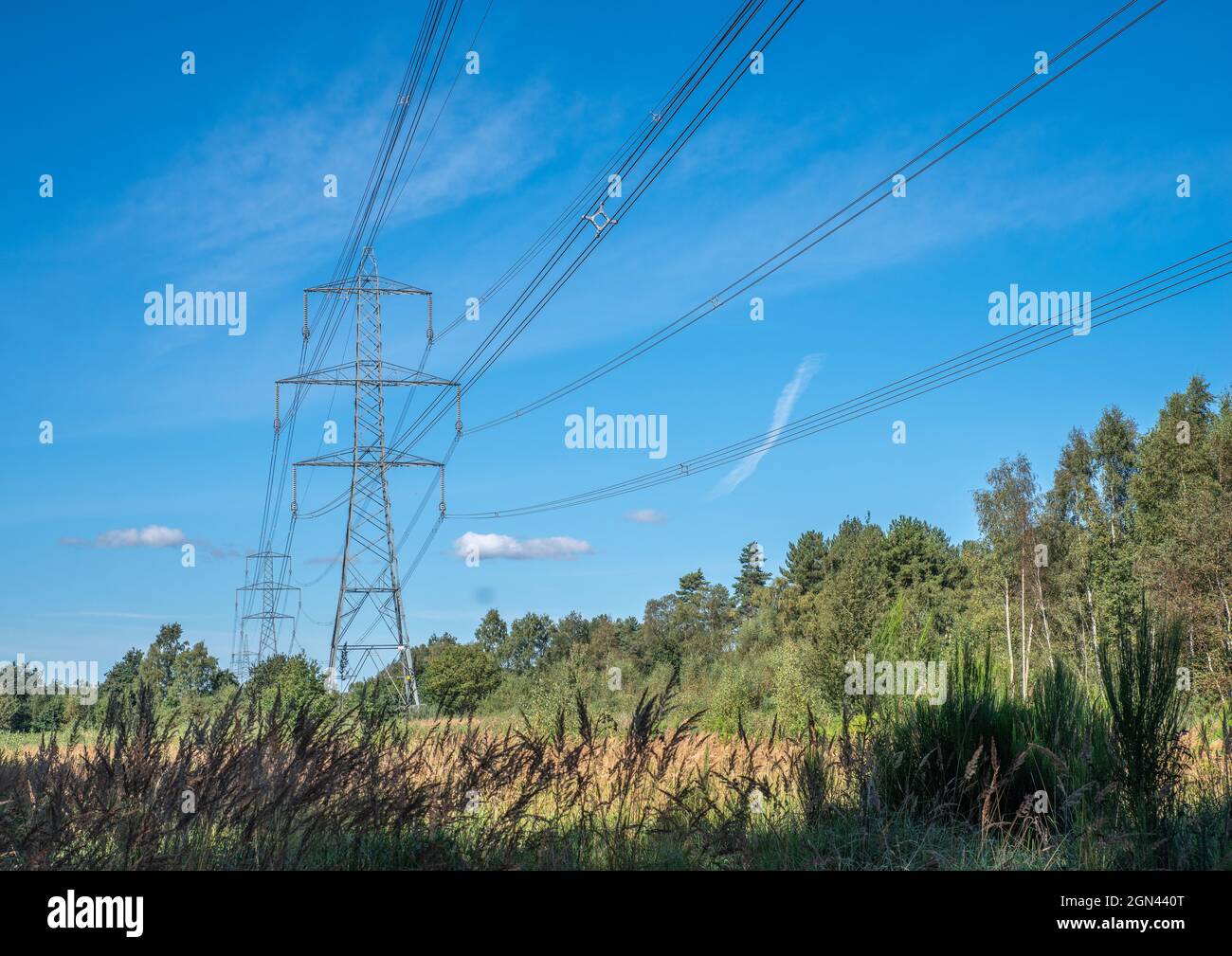 Lignes électriques haute tension avec pylônes sur fond bleu ciel par une journée ensoleillée Banque D'Images