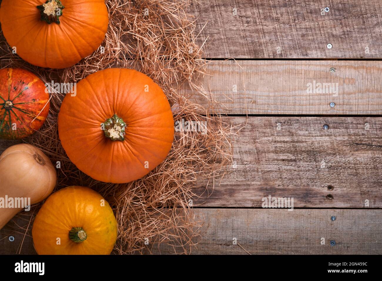 Citrouille. Cuisine d'automne avec cannelle, noix et épices de saison sur fond rustique. Cuisson de la tarte aux pommes ou à la citrouille et des biscuits pour Thanksgivin Banque D'Images