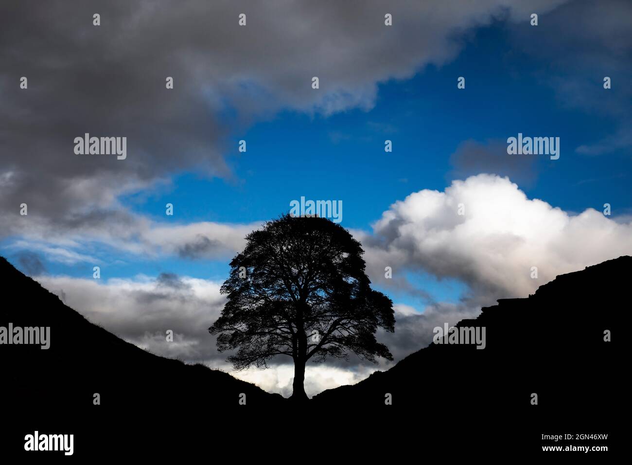 Sycamore Gap, mur d'Hadrien, parc national de Northumberland, Royaume-Uni Banque D'Images