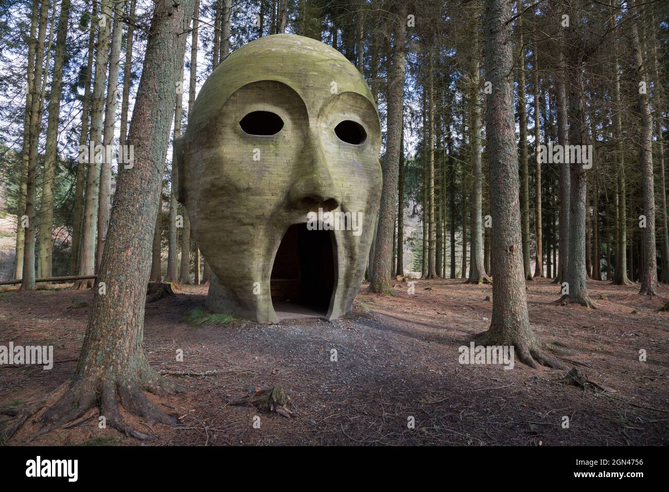 Silva capitalis, forêt, sculpture tête partie de Kielder Water et parc forestier route de l'art, Northumberland, Angleterre Banque D'Images