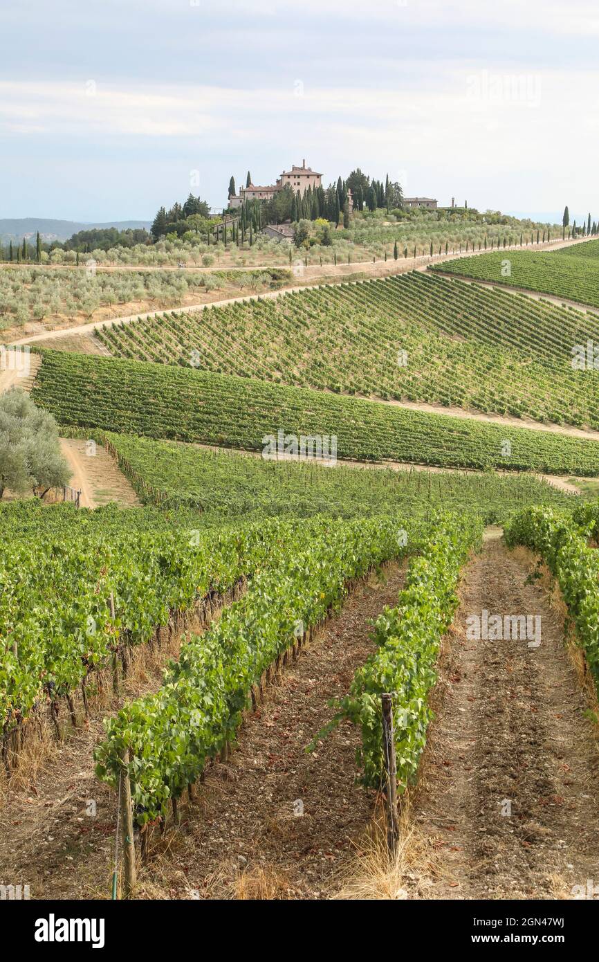 PAYSAGES DE LA RÉGION DU CHIANTI, TOSCANE, ITALIE Banque D'Images