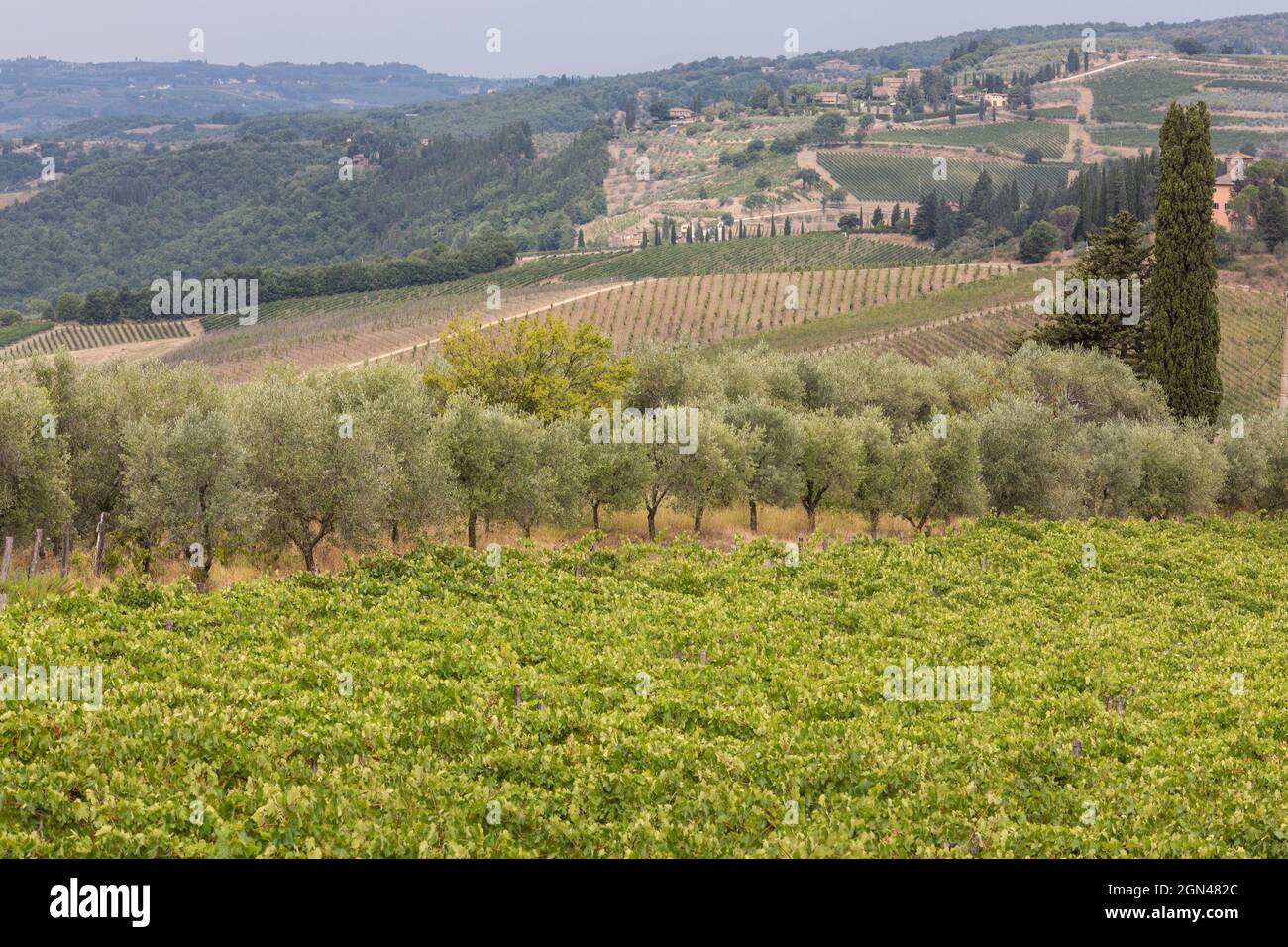 PAYSAGES DE LA RÉGION DU CHIANTI, TOSCANE, ITALIE Banque D'Images